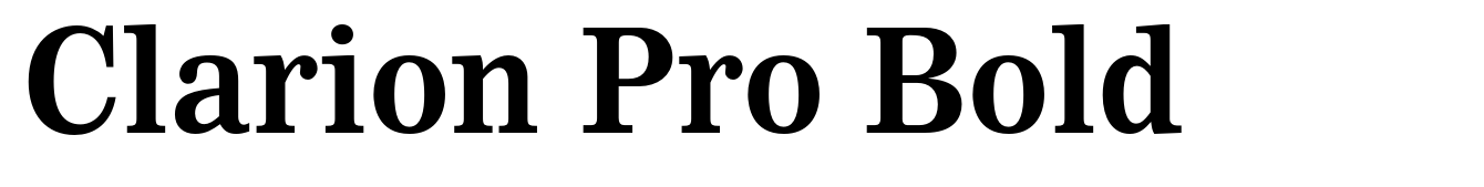 Clarion Pro Bold
